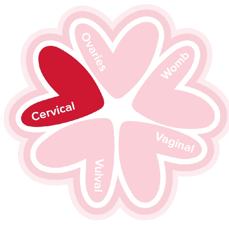 'Cervical' written in a red heart with 'ovaries, womb, vaginal and vulval' written on lighter coloured hearts to make a flower shape. 